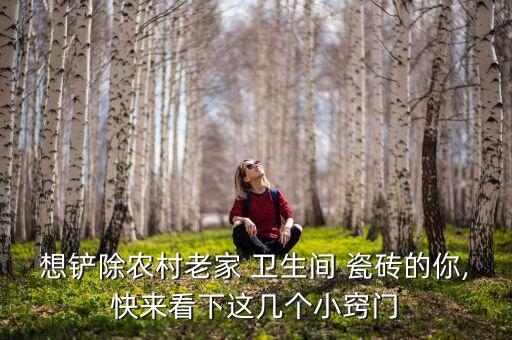 想铲除农村老家 卫生间 瓷砖的你,快来看下这几个小窍门