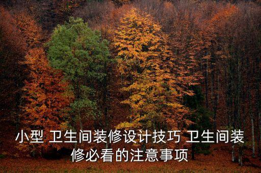 小型 卫生间装修设计技巧 卫生间装修必看的注意事项