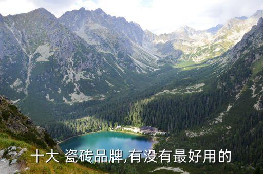 十大 瓷砖品牌,有没有最好用的