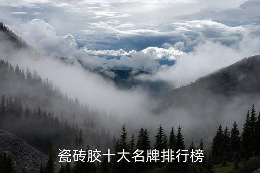  瓷砖胶十大名牌排行榜