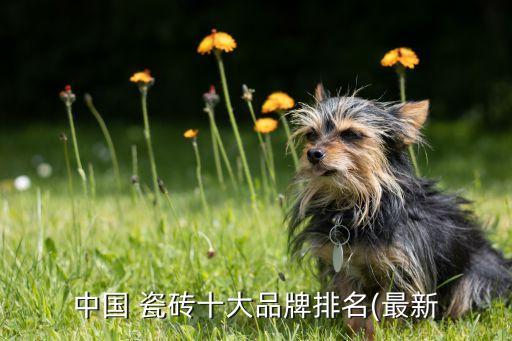 中国 瓷砖十大品牌排名(最新