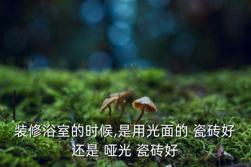 装修浴室的时候,是用光面的 瓷砖好还是 哑光 瓷砖好
