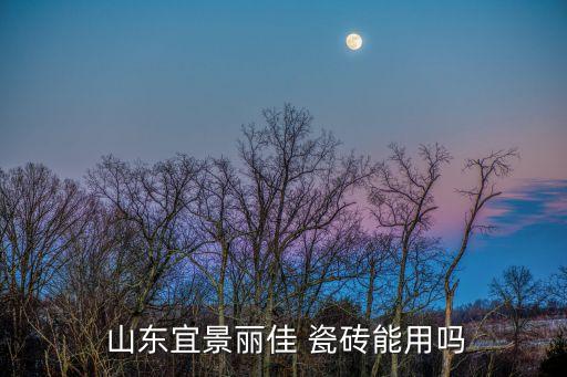 山东宜景丽佳 瓷砖能用吗