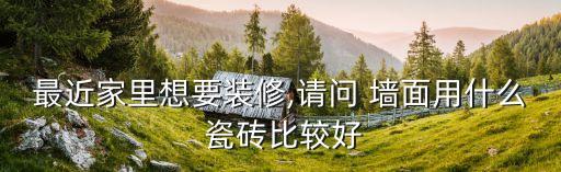 卫生间墙面哪种瓷砖好看