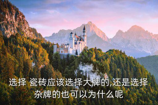 选择 瓷砖应该选择大牌的,还是选择杂牌的也可以为什么呢