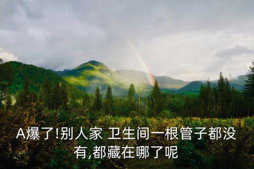 A爆了!别人家 卫生间一根管子都没有,都藏在哪了呢