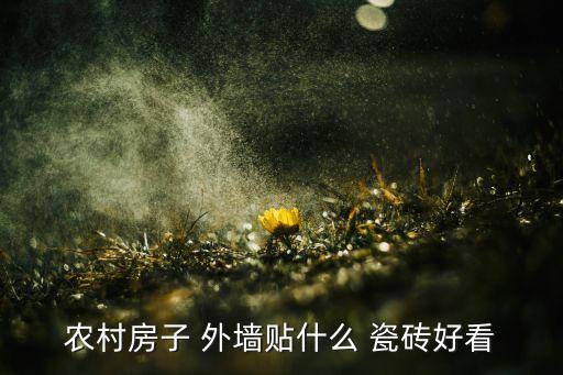 农村房子 外墙贴什么 瓷砖好看