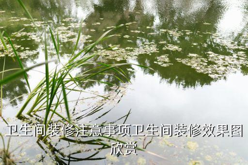卫生间装修注意事项卫生间装修效果图欣赏