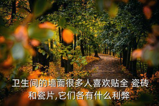 卫生间瓷砖通铺的缺点,客厅瓷砖与卫生间通铺好不好
