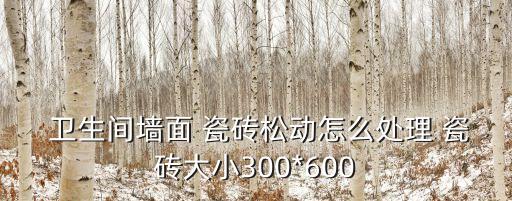卫生间瓷砖孔打偏