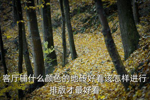 客厅铺什么颜色的地砖好看该怎样进行排版才最好看