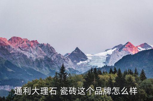 恒温瓷砖品牌测评表格模板