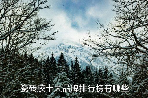  瓷砖胶十大品牌排行榜有哪些