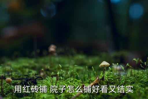 院子墙边瓷砖改造效果图,院子铺瓷砖效果图大全