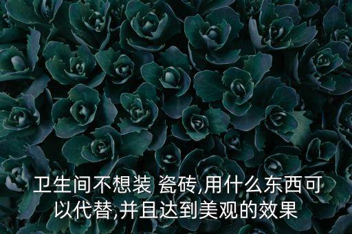  卫生间不想装 瓷砖,用什么东西可以代替,并且达到美观的效果