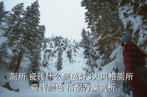 厕所 瓷砖什么颜色好3大风格厕所 瓷砖颜色 搭配方案赏析