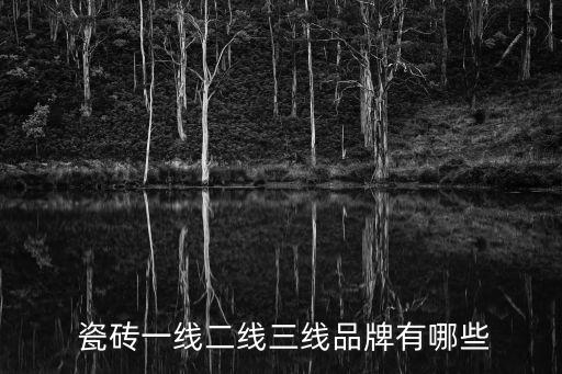  瓷砖一线二线三线品牌有哪些