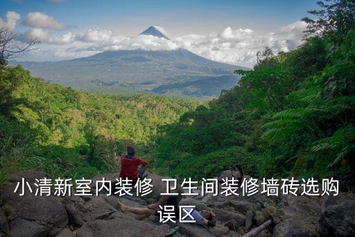 小清新室内装修 卫生间装修墙砖选购误区