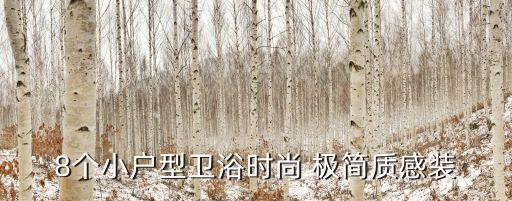 8个小户型卫浴时尚 极简质感装