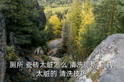 厕所 瓷砖太脏怎么 清洗厕所 瓷砖太脏的 清洗技巧