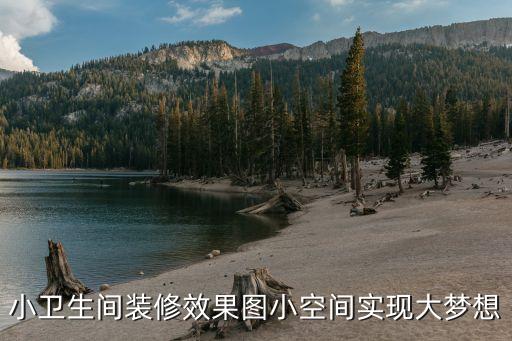 小卫生间装修效果图小空间实现大梦想