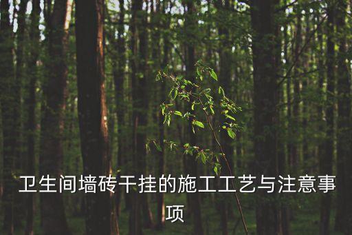  卫生间墙砖干挂的施工工艺与注意事项