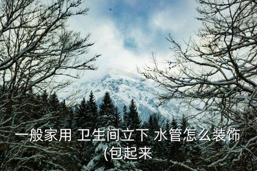一般家用 卫生间立下 水管怎么装饰(包起来