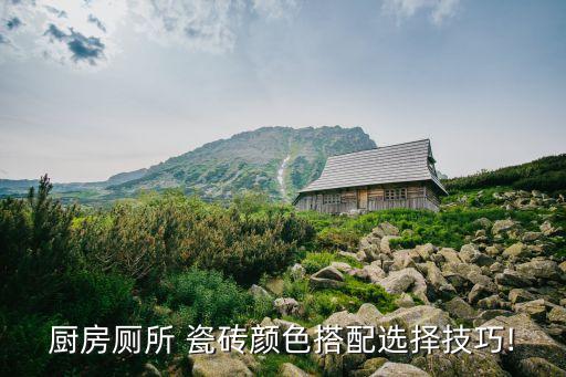厨房厕所 瓷砖颜色搭配选择技巧!