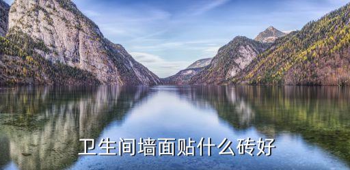  卫生间墙面贴什么砖好