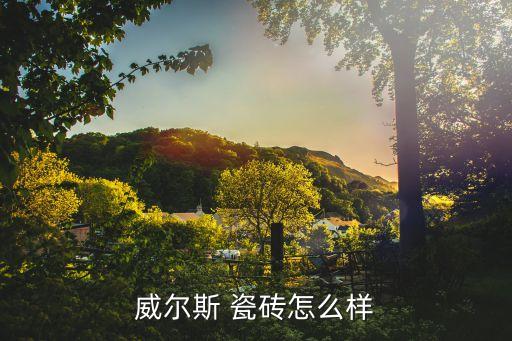 威尔斯 瓷砖怎么样