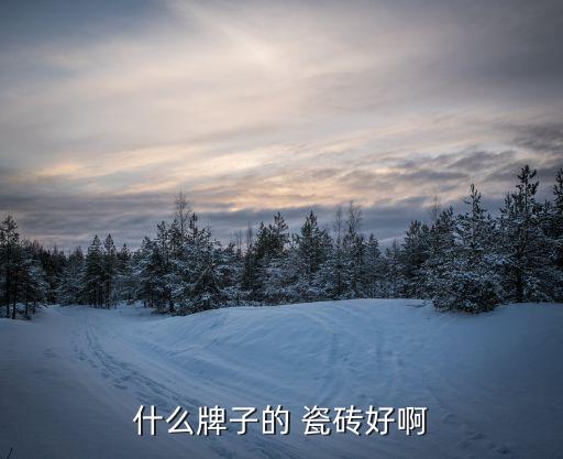 什么牌子的 瓷砖好啊