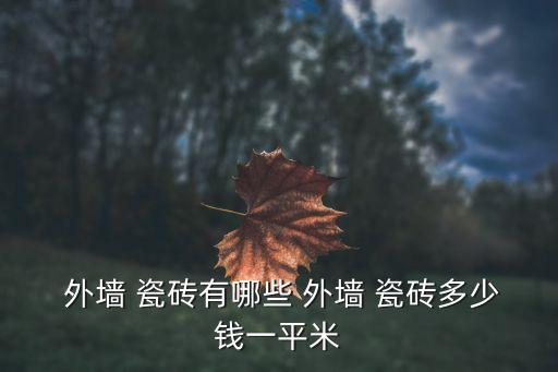成都贴外墙瓷砖价格表,广东佛山外墙瓷砖价格表及图片