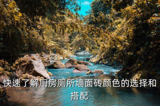 快速了解厨房厕所墙面砖颜色的选择和搭配