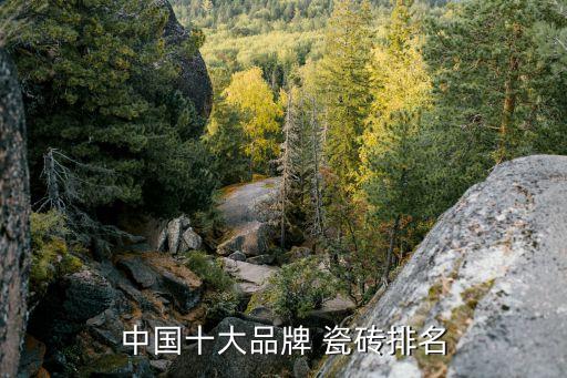 中国十大品牌 瓷砖排名