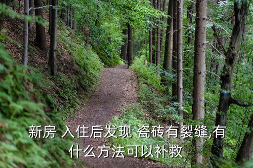  新房 入住后发现 瓷砖有裂缝,有什么方法可以补救