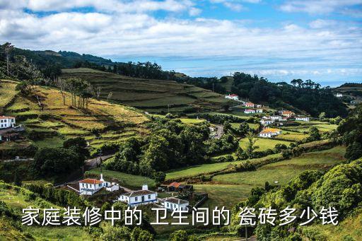 家庭装修中的 卫生间的 瓷砖多少钱
