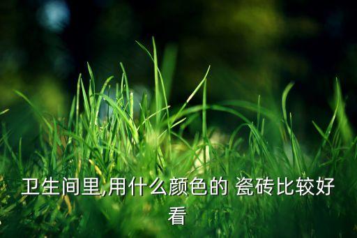 卫生间里,用什么颜色的 瓷砖比较好看