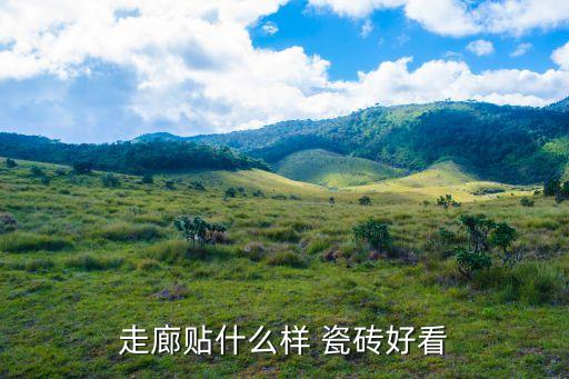 走廊贴什么样 瓷砖好看