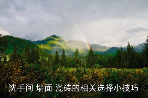 卫生间墙面瓷砖怎么找
