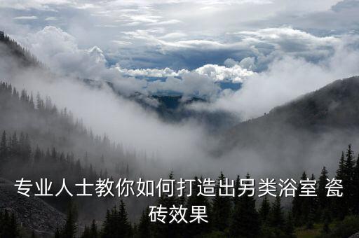 专业人士教你如何打造出另类浴室 瓷砖效果