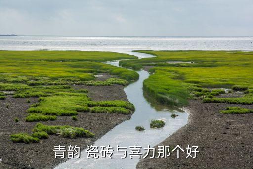 广东通体金刚釉品牌瓷砖