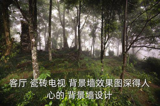客厅 瓷砖电视 背景墙效果图深得人心的 背景墙设计