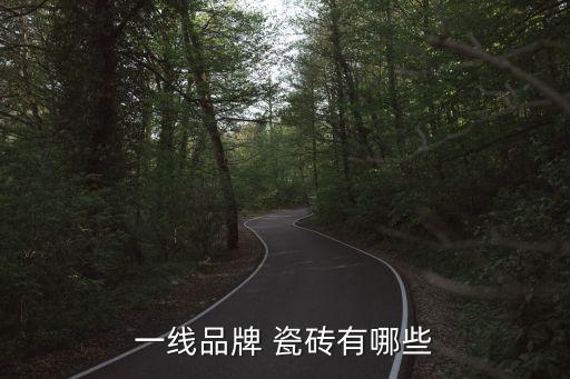 一线品牌 瓷砖有哪些