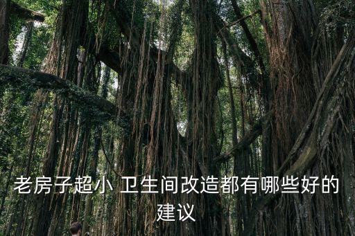 老房子超小 卫生间改造都有哪些好的建议
