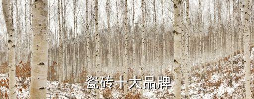 中国市场进口瓷砖品牌,高端进口瓷砖品牌有哪些