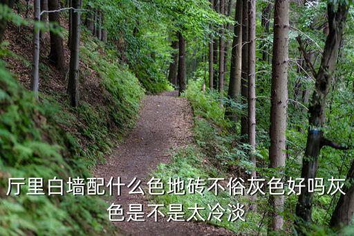 客厅颜色白瓷砖效果图,客厅白瓷砖用什么颜色美缝