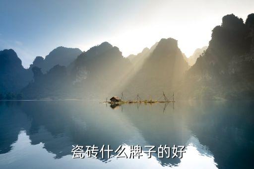 瓷砖什么牌子的好