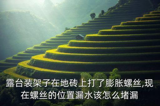露台装架子在地砖上打了膨胀螺丝,现在螺丝的位置漏水该怎么堵漏
