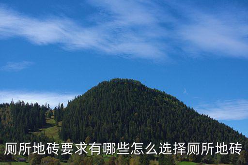 厕所地砖要求有哪些怎么选择厕所地砖