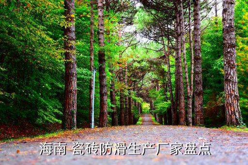  海南 瓷砖防滑生产厂家盘点
